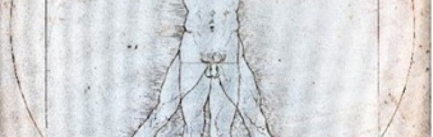 Image of Vitruvian Man by da Vinci
